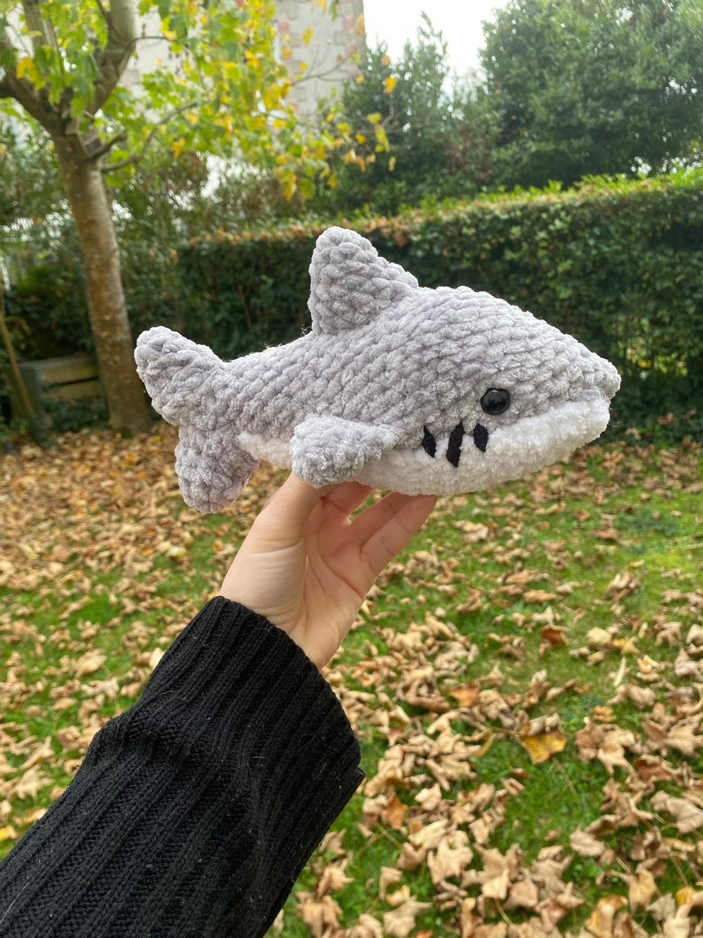 Requin 🦈