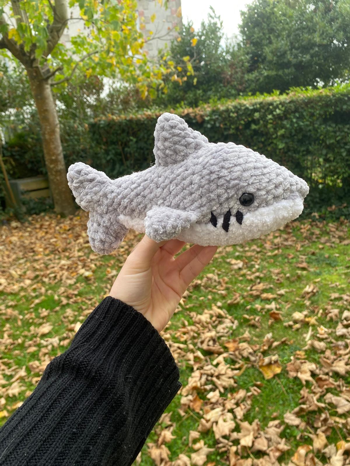 Requin 🦈