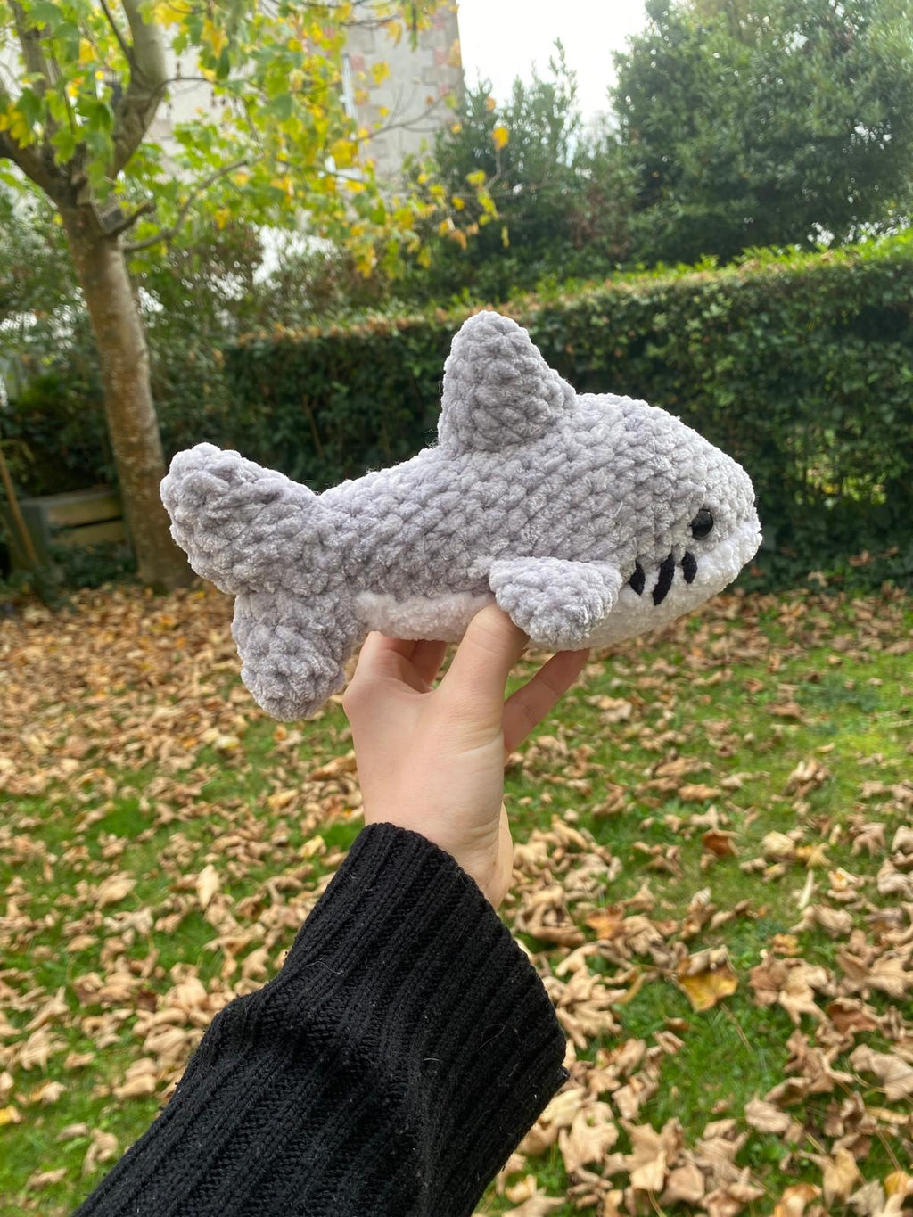 Requin 🦈