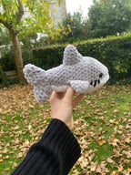 Requin 🦈