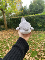 Requin 🦈