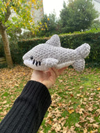 Requin 🦈
