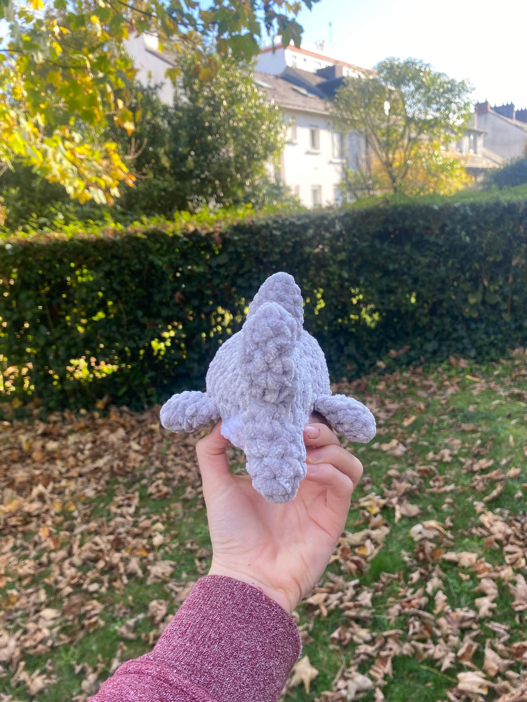 Requin 🦈