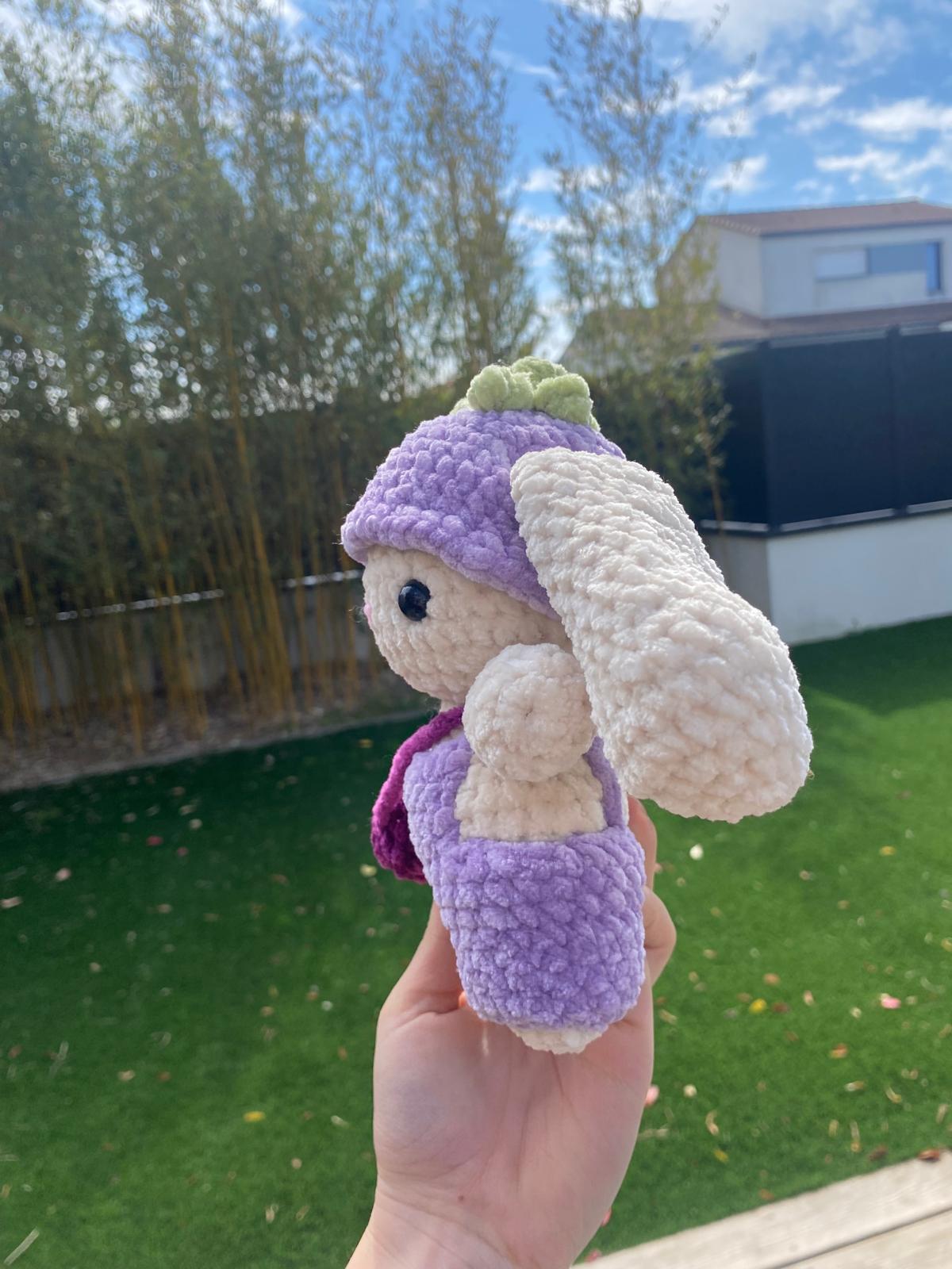 Lapin Prune 💜