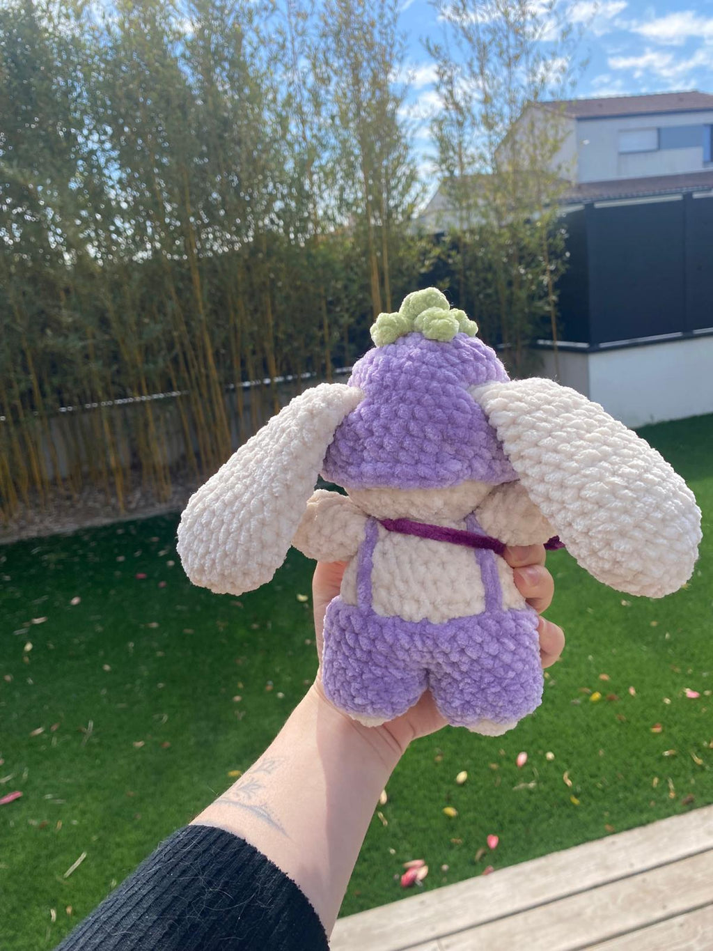 Lapin Prune 💜