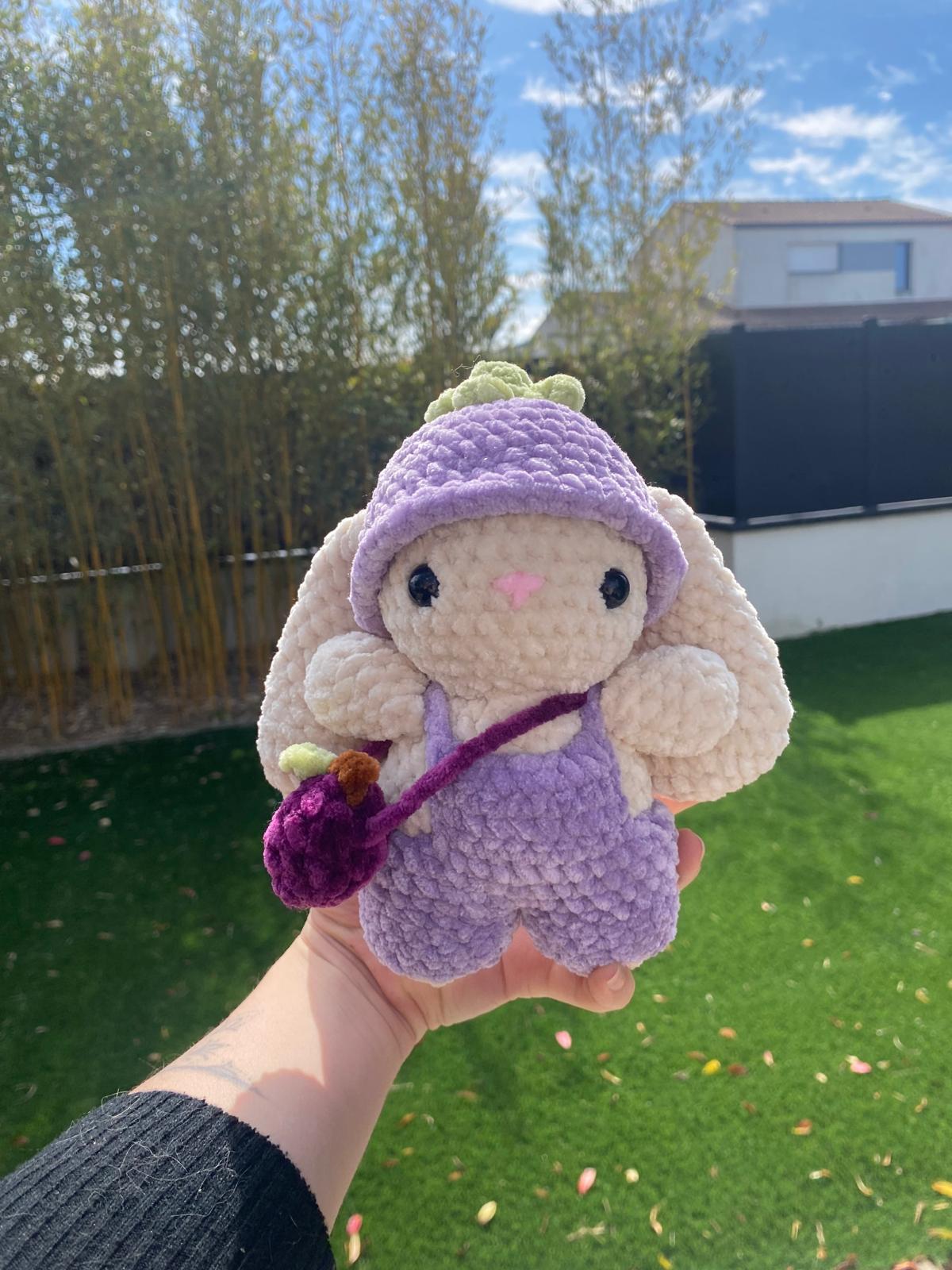 Lapin Prune 💜
