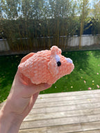 Mini Tricératops 🦖