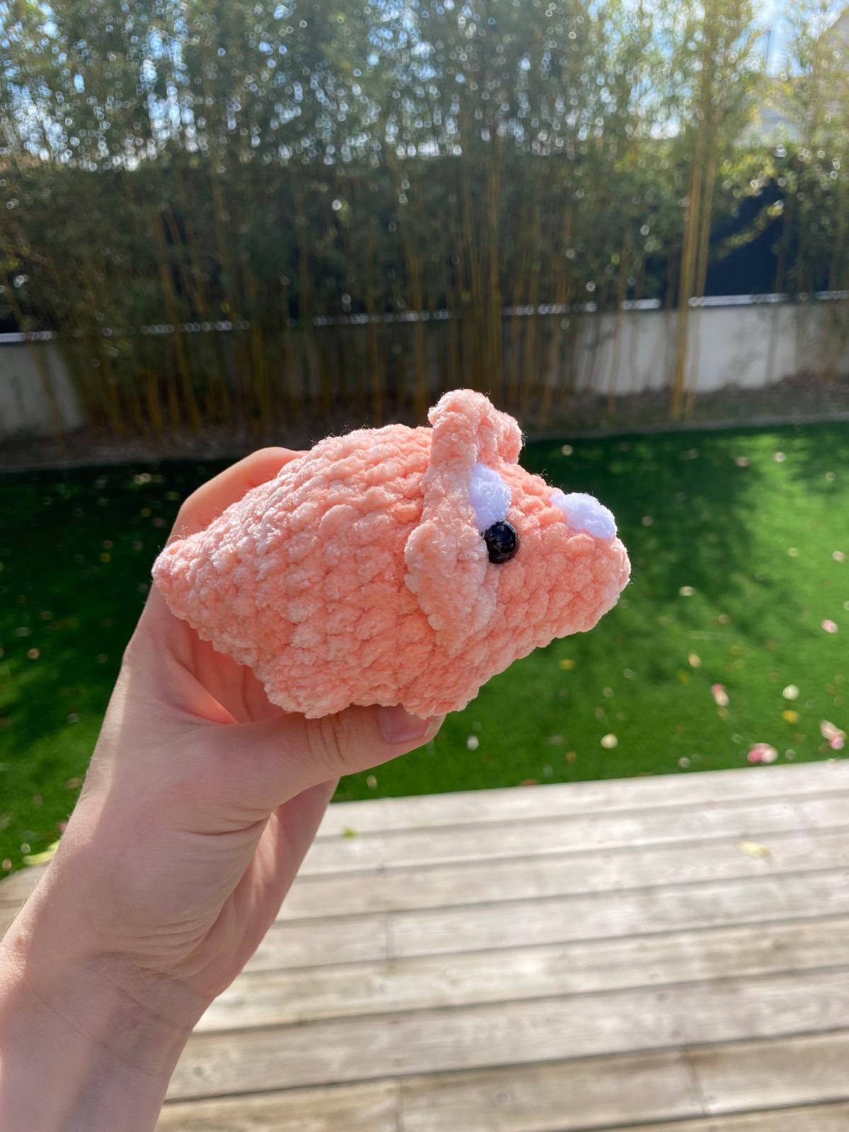 Mini Tricératops 🦖