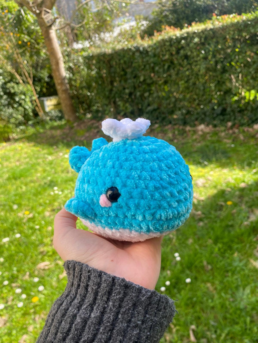 Baleine 🐳