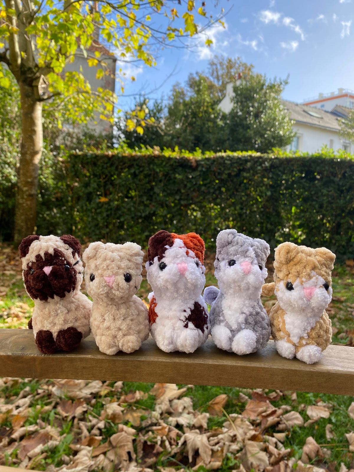Mini chats 🐈
