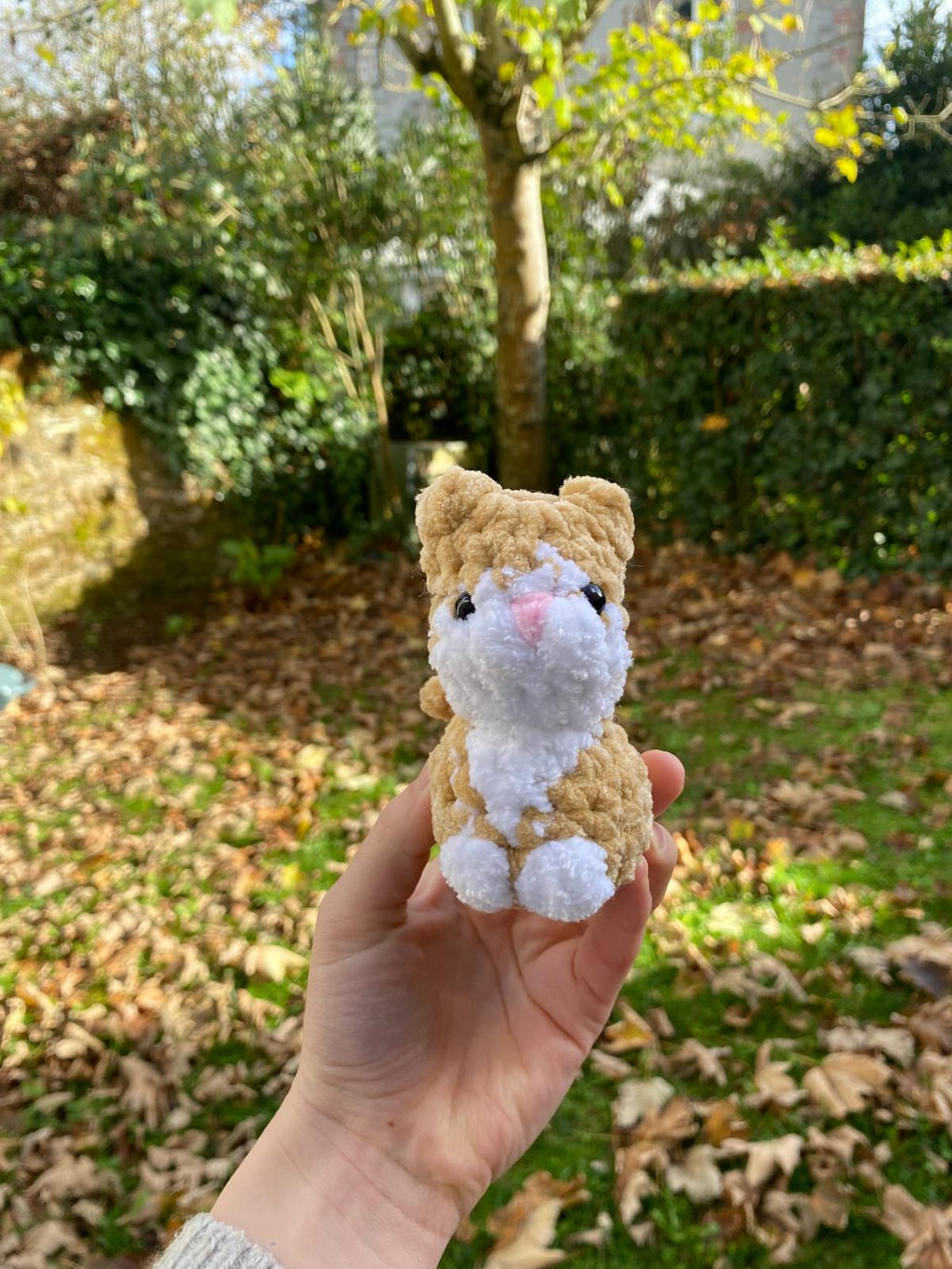 Mini chats 🐈