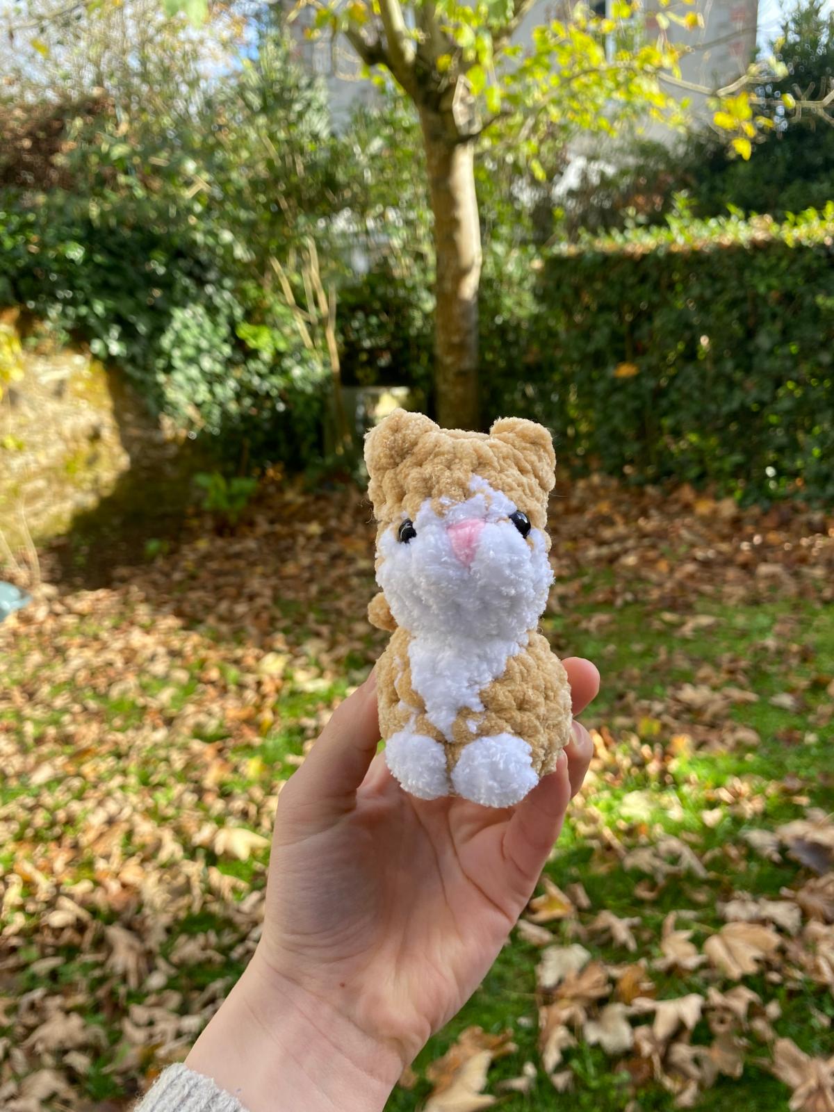 Mini chats 🐈