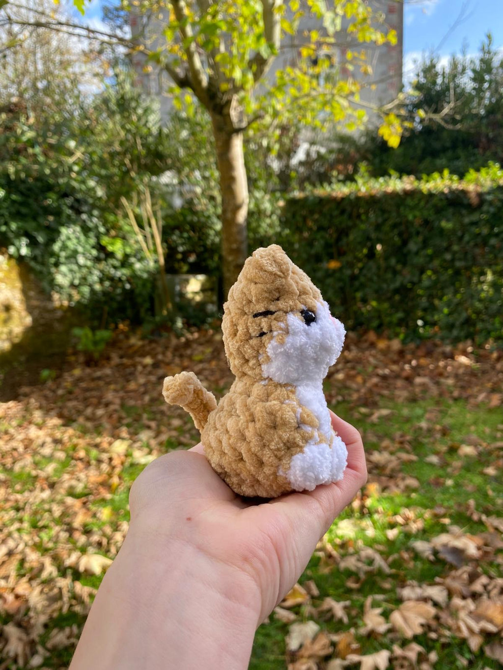 Mini chats 🐈