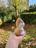 Mini chats 🐈