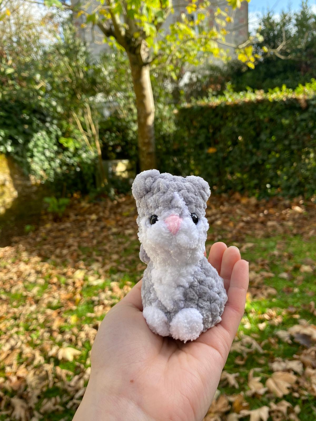 Mini chats 🐈