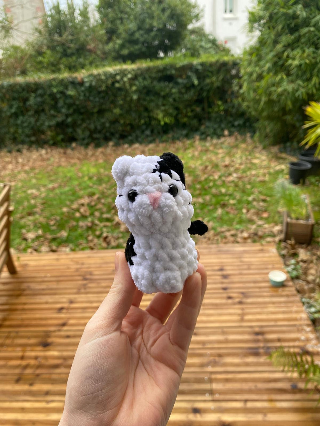 Mini chats 🐈