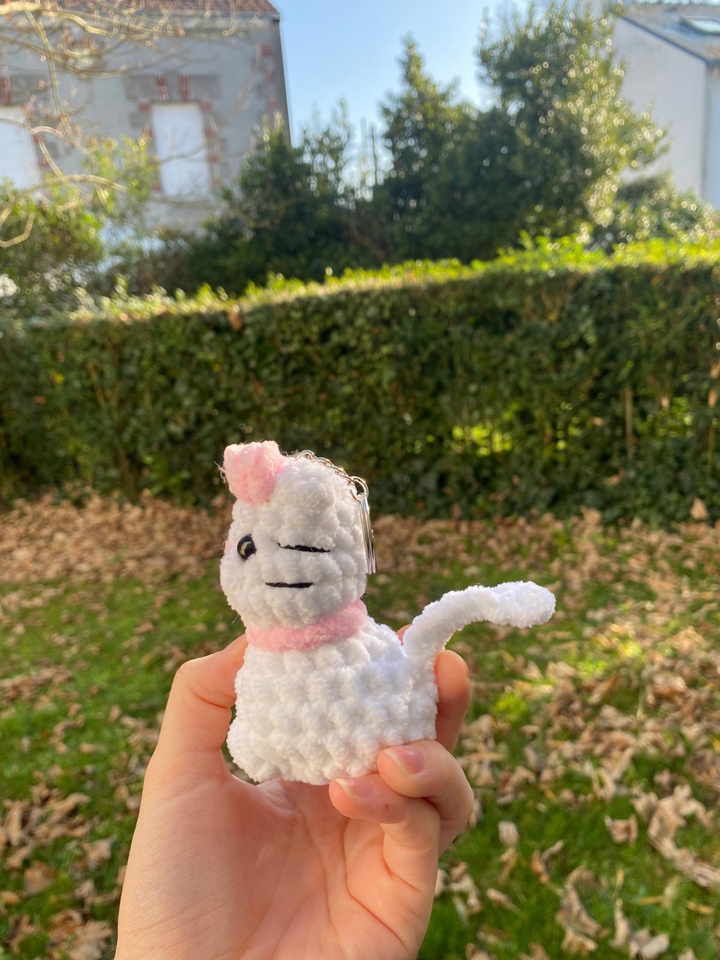 Mini chats 🐈