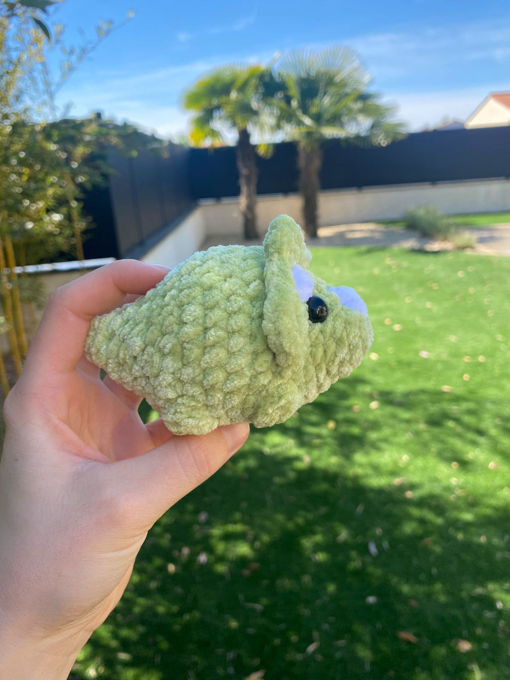Mini Tricératops 🦖