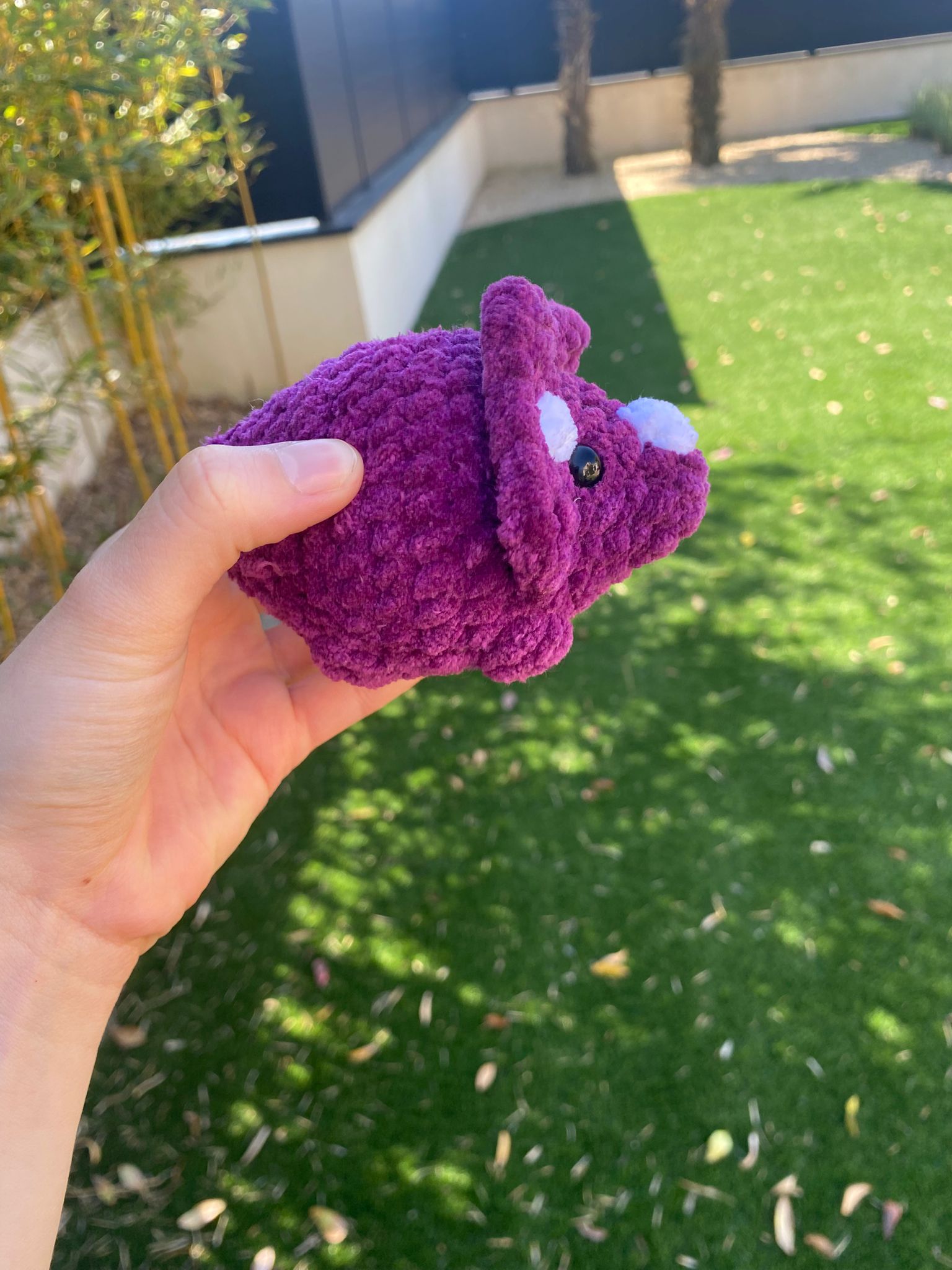 Mini Tricératops 🦖