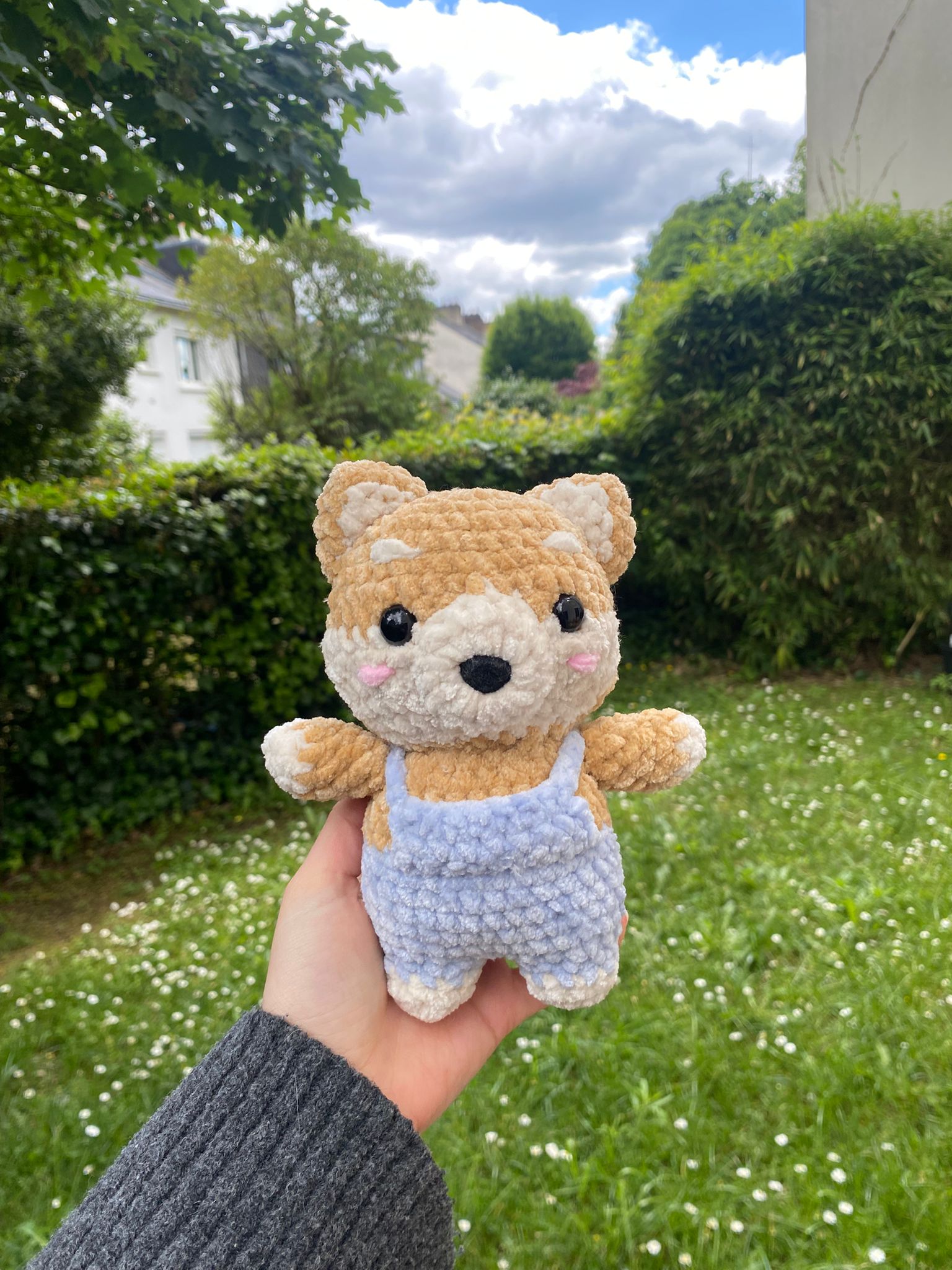 Shiba 🐕