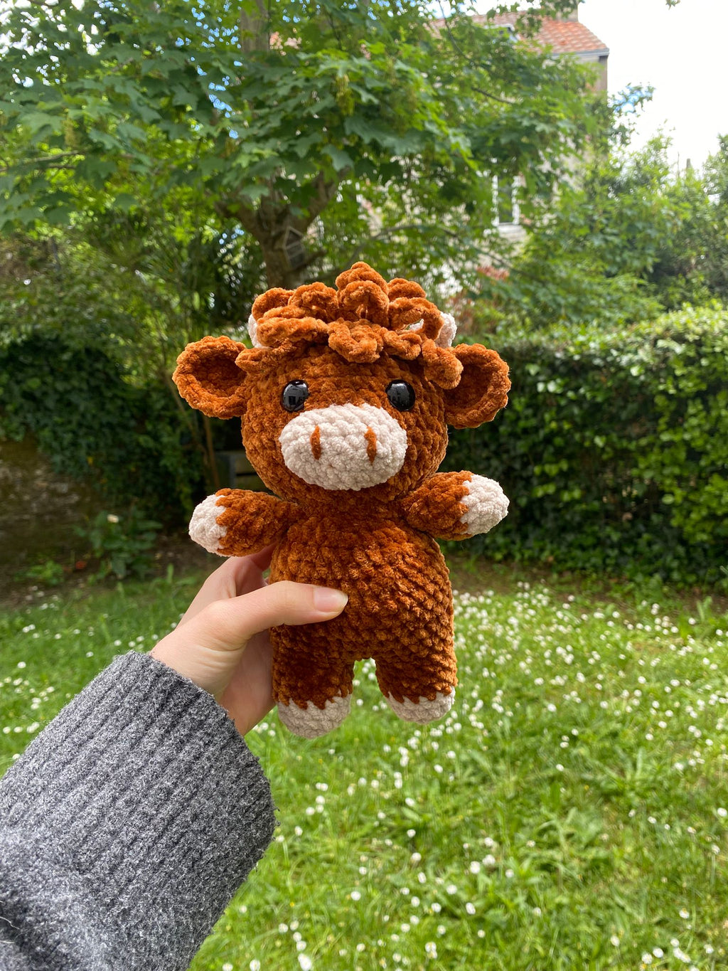 Vache Highland 🐮