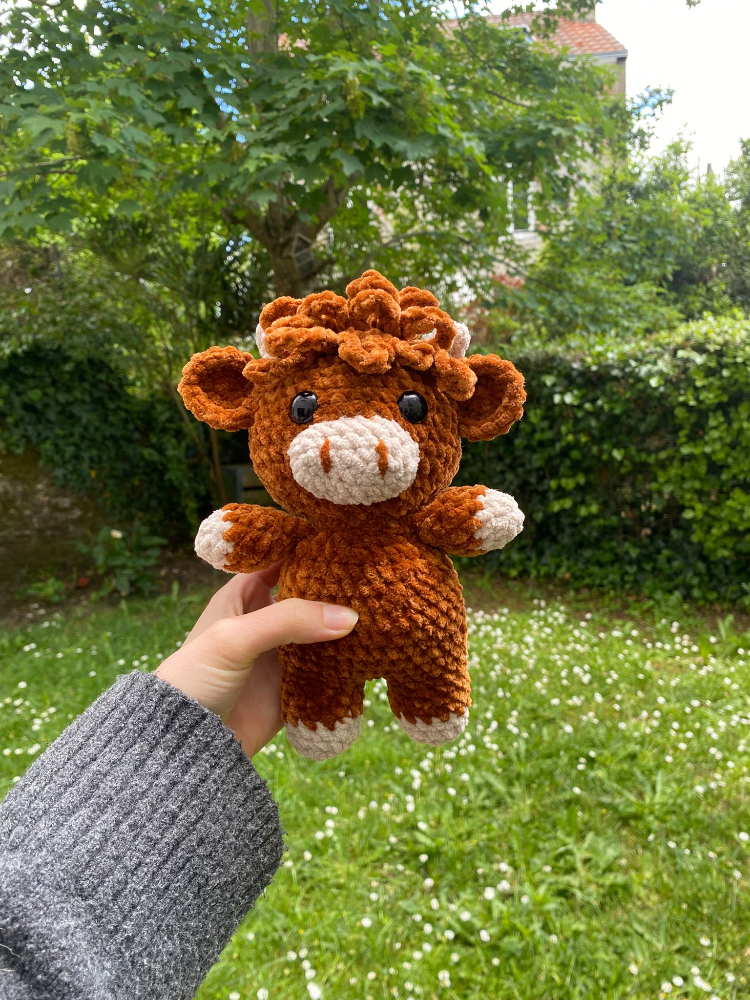 Vache Highland 🐮