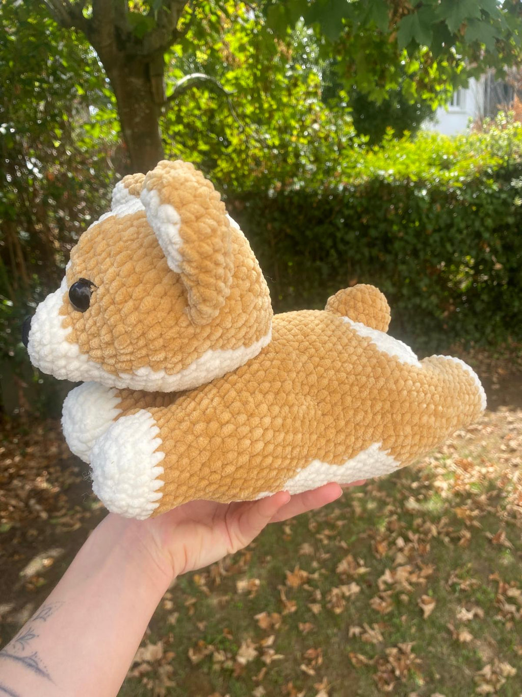 Corgi 🐕