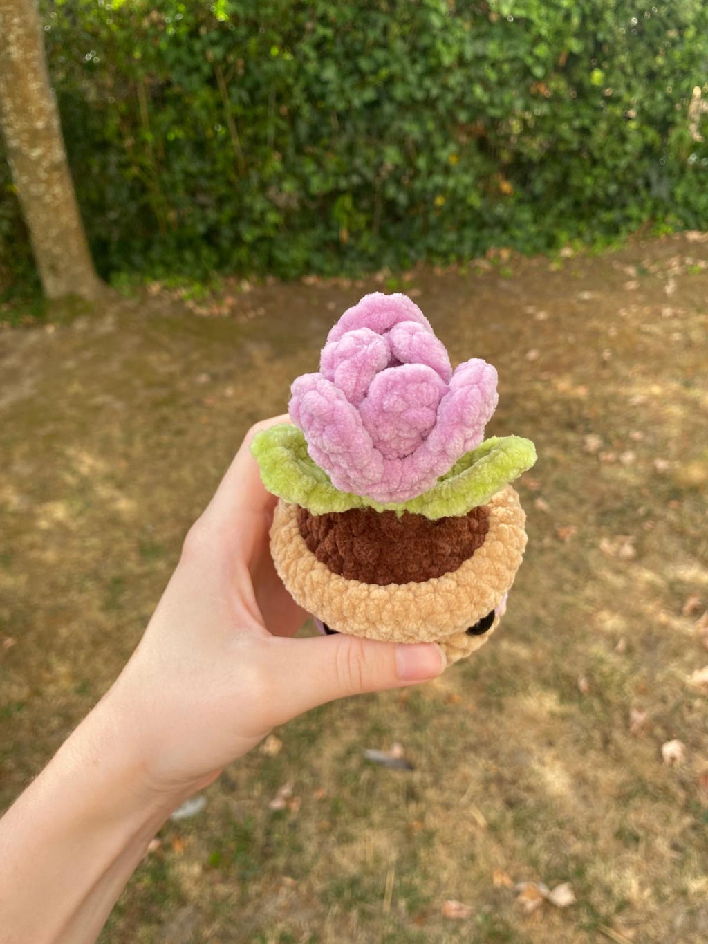 Tulipe en pot 🌷