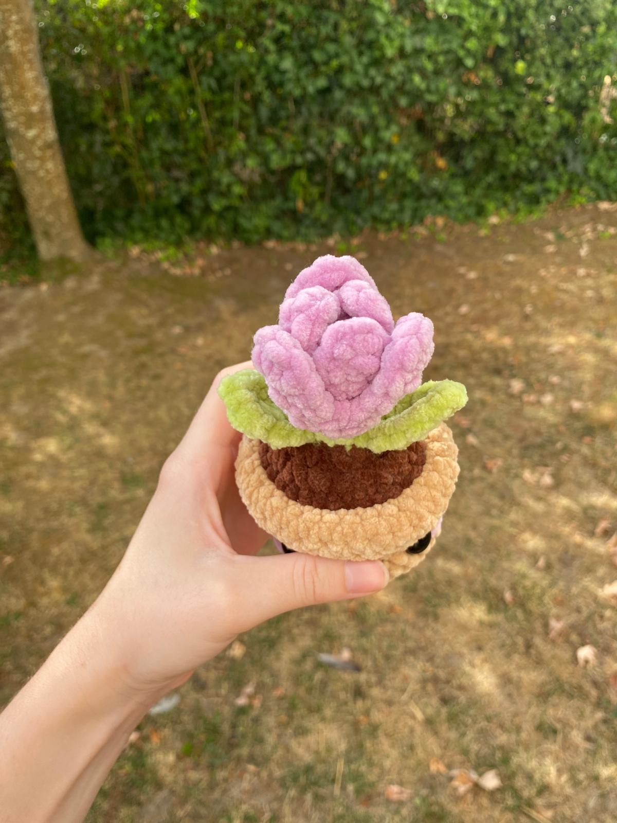 Tulipe en pot 🌷