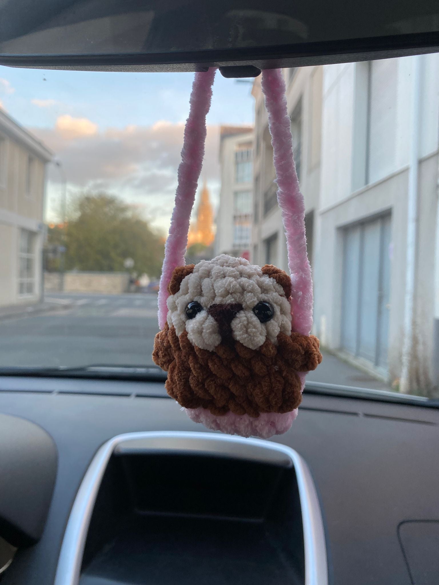 Décoration de rétroviseur loutre 🦦