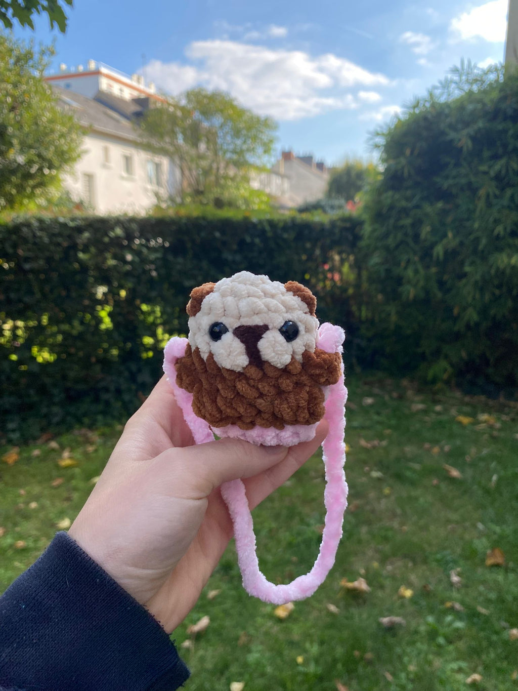 Décoration de rétroviseur loutre 🦦