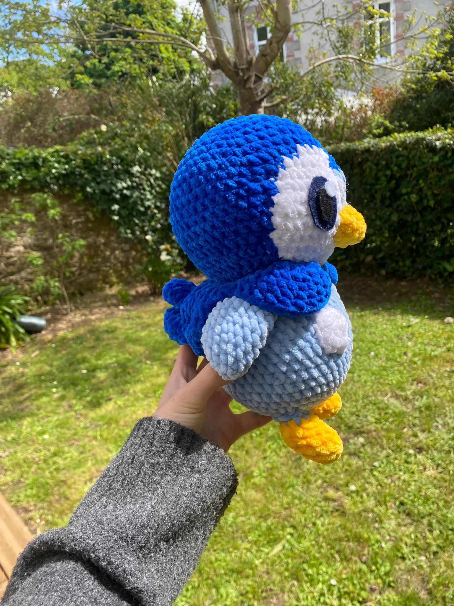 Tiplouf 🐧