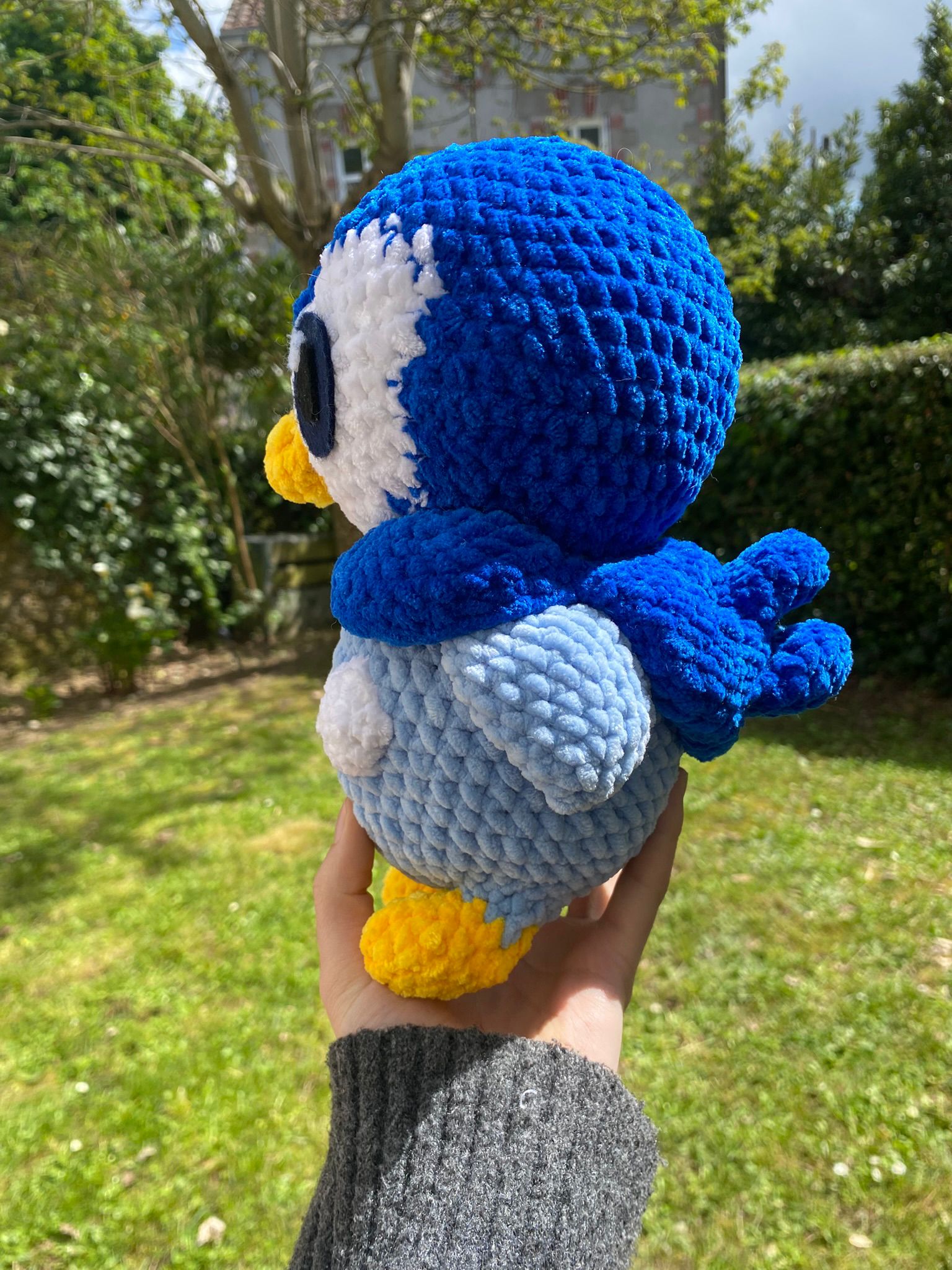 Tiplouf 🐧