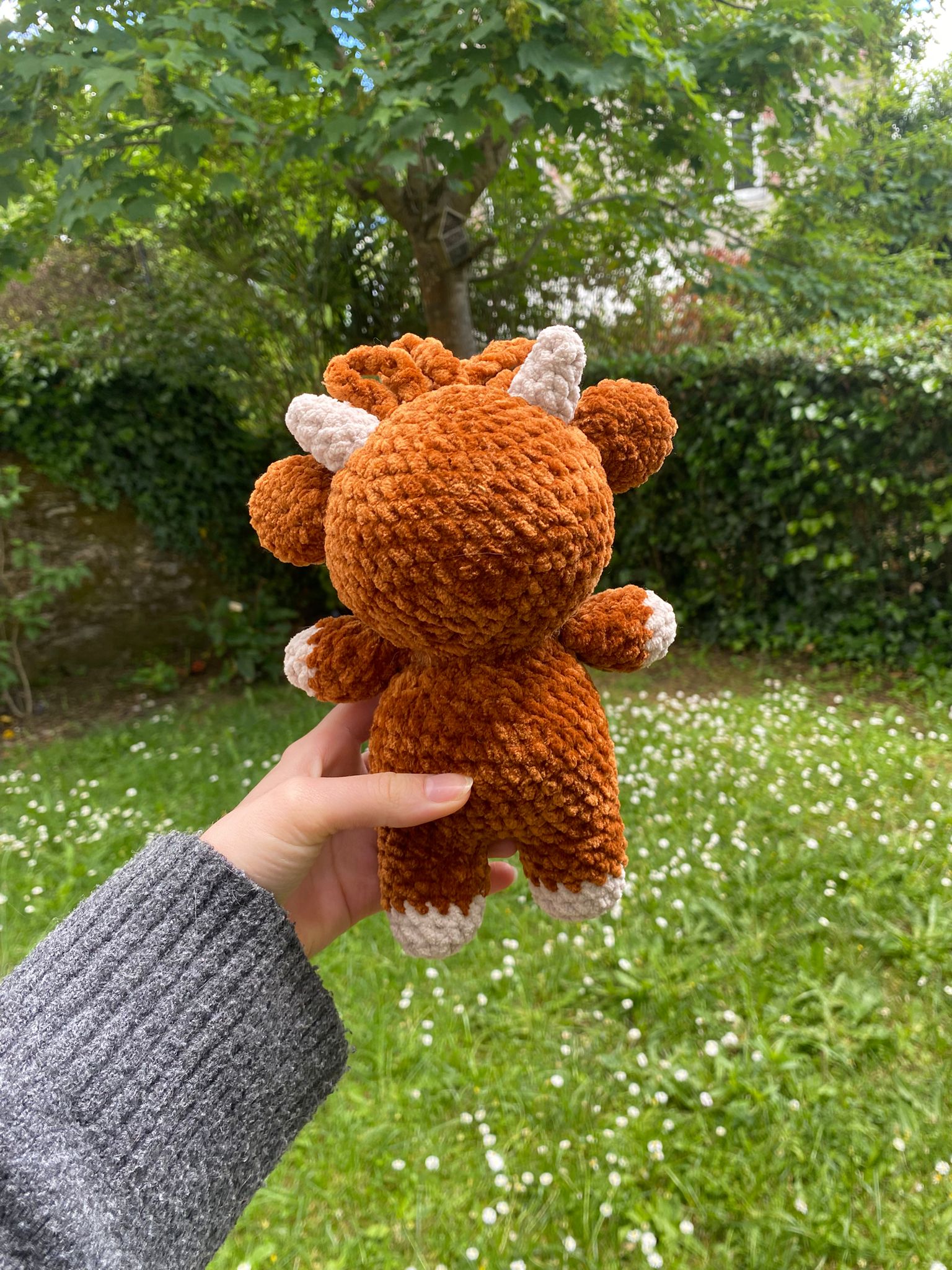Vache Highland 🐮