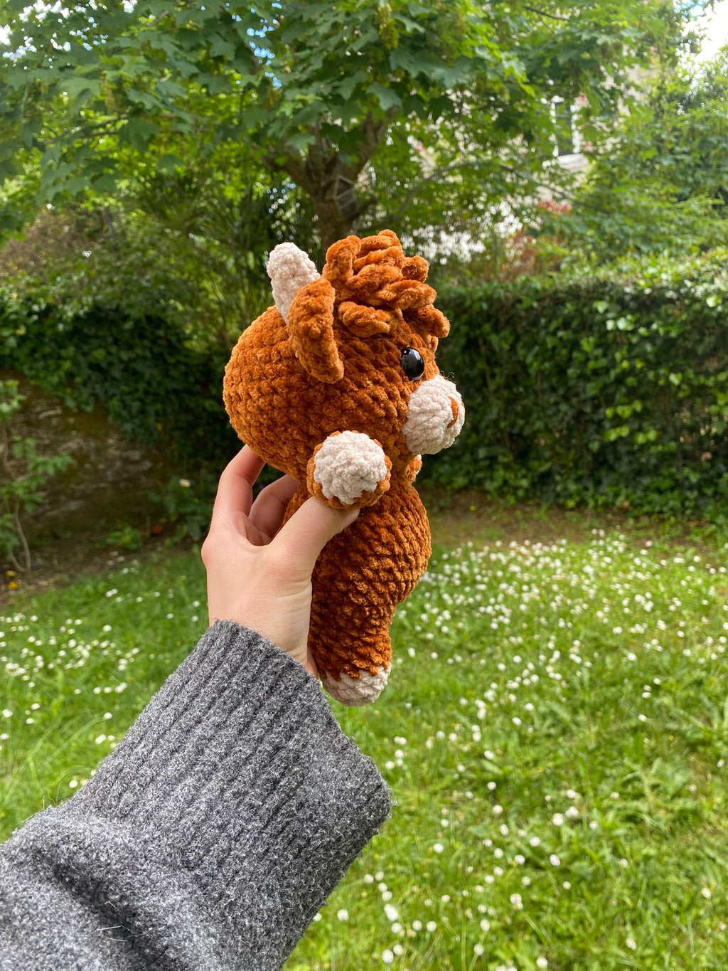 Vache Highland 🐮