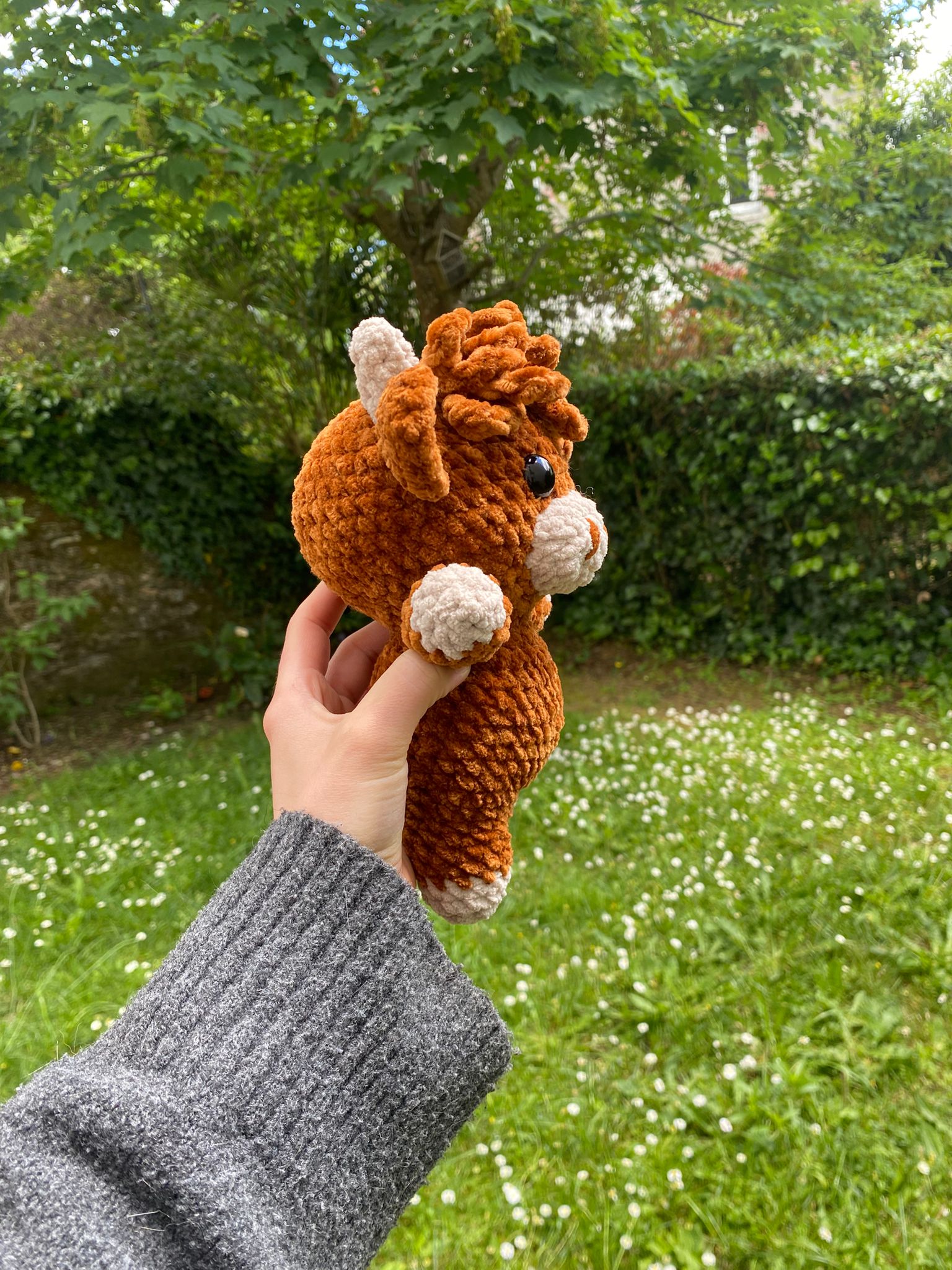 Vache Highland 🐮