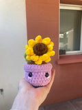 Tournesol en pot 🌻