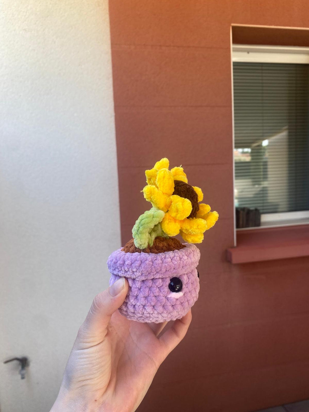 Tournesol en pot 🌻