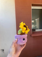 Tournesol en pot 🌻