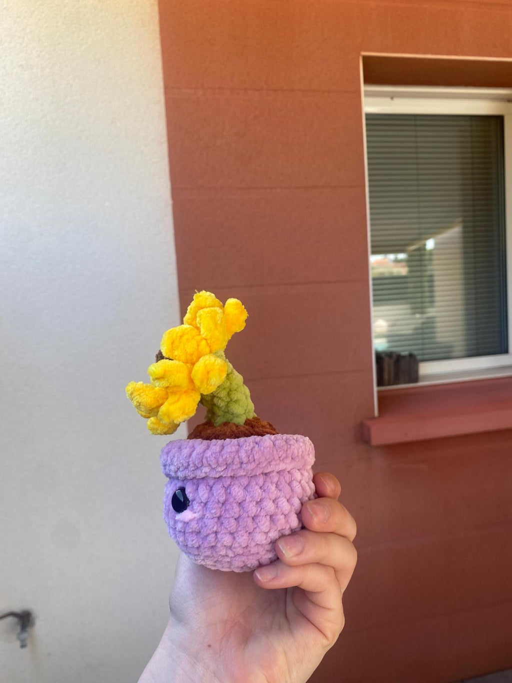 Tournesol en pot 🌻