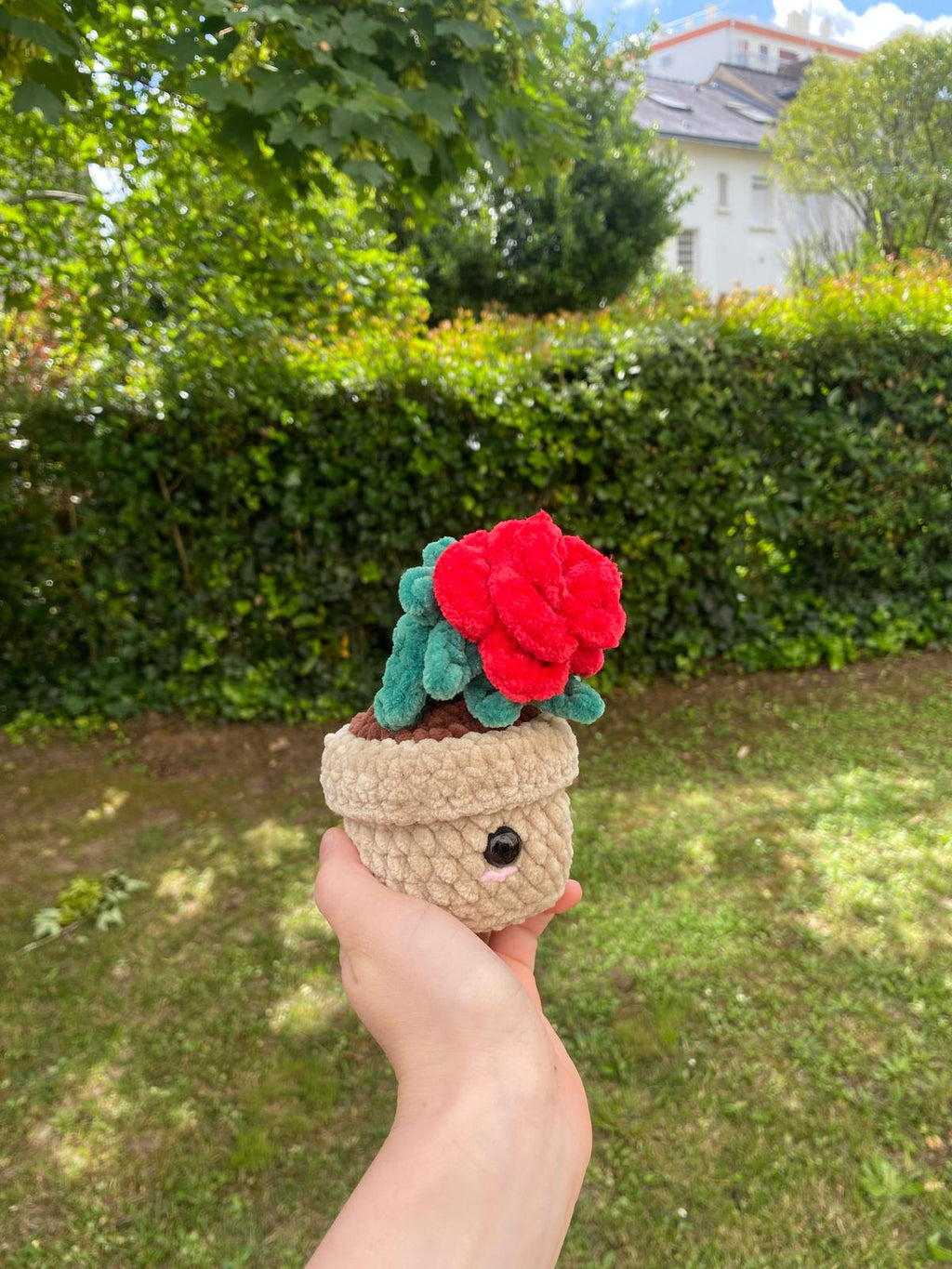 Rose en pot 🌹