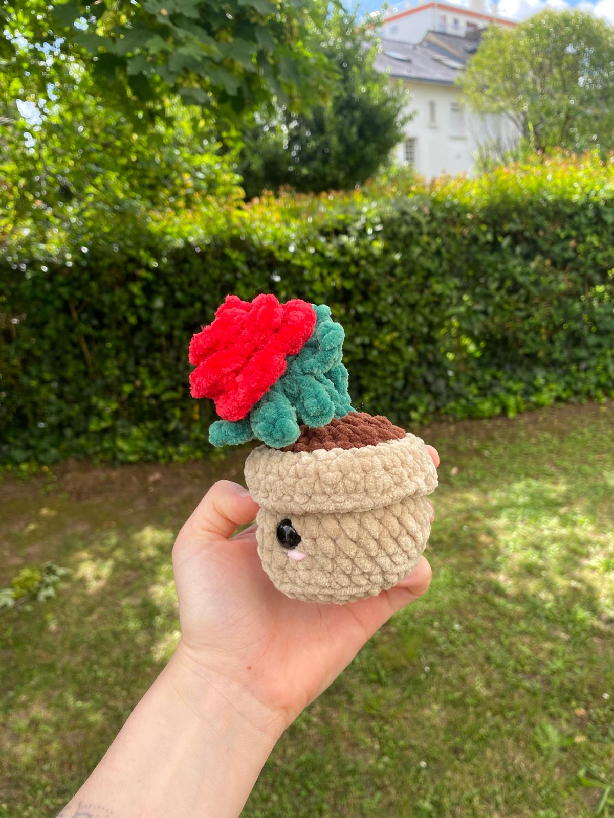Rose en pot 🌹