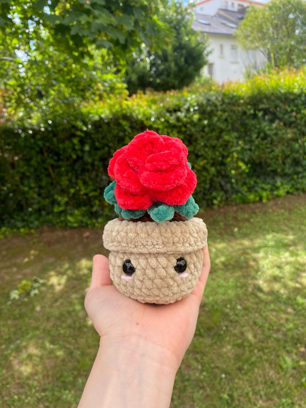 Rose en pot 🌹