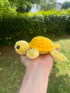 Tortue de mer 🐢