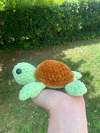 Tortue de mer 🐢