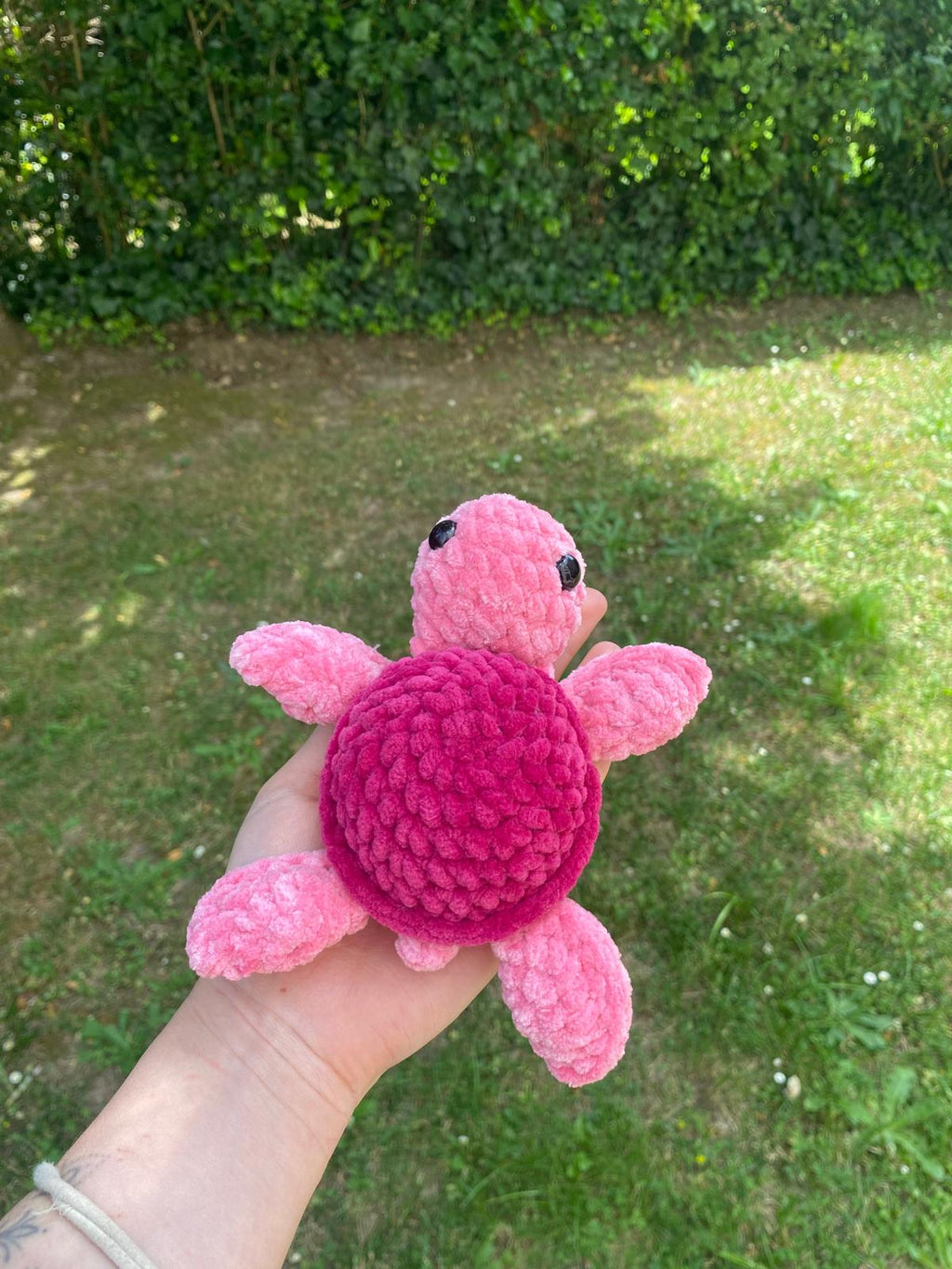 Tortue de mer 🐢