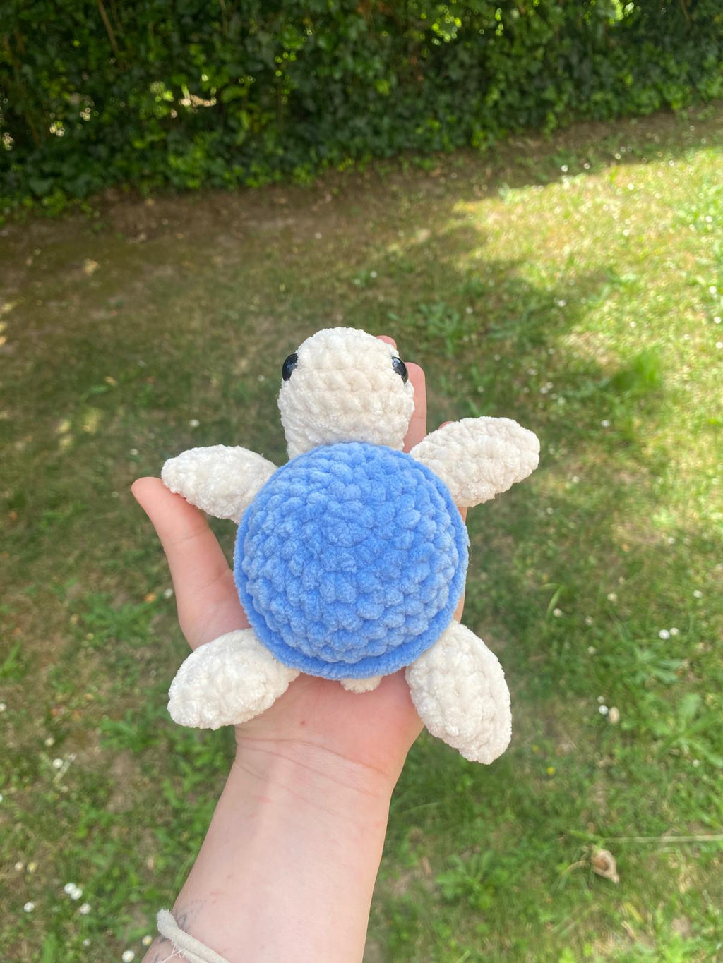Tortue de mer 🐢