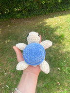 Tortue de mer 🐢