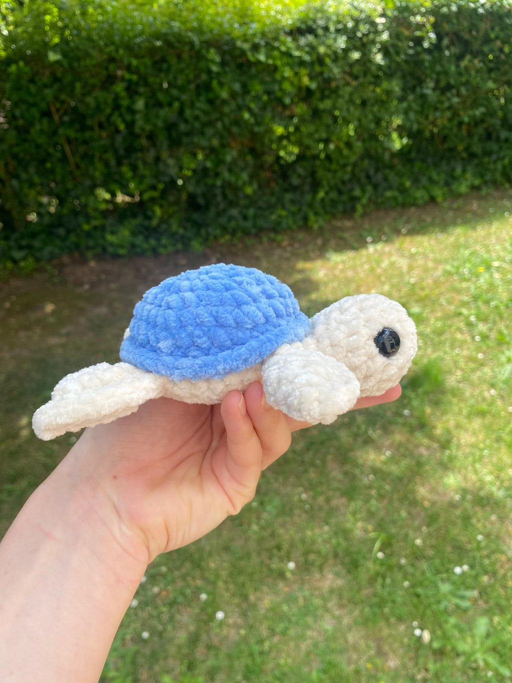 Tortue de mer 🐢
