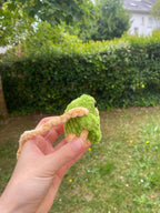 Décoration de rétroviseur grenouille 🐸